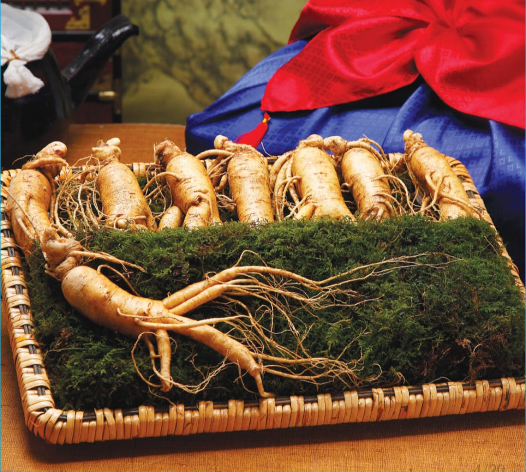Red Ginseng Korea Premium